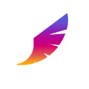 igHawk Wing